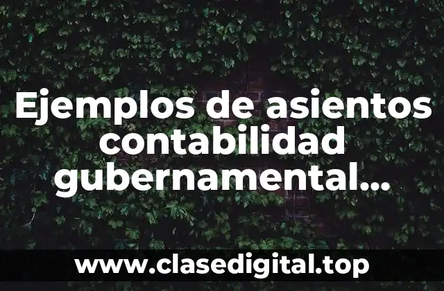 Ejemplos de asientos contabilidad gubernamental prizzi