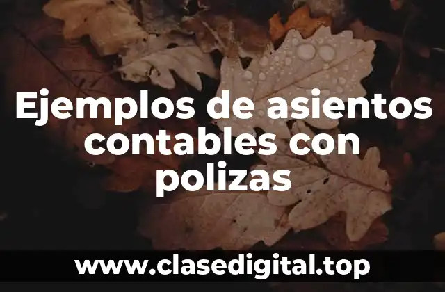 Ejemplos de asientos contables con polizas