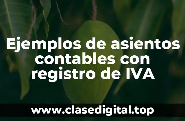 Ejemplos de asientos contables con registro de IVA