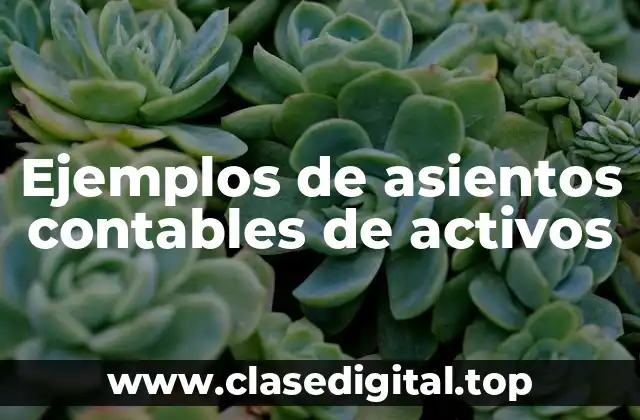 Ejemplos de asientos contables de activos