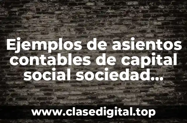 Ejemplos de asientos contables de capital social sociedad anonima