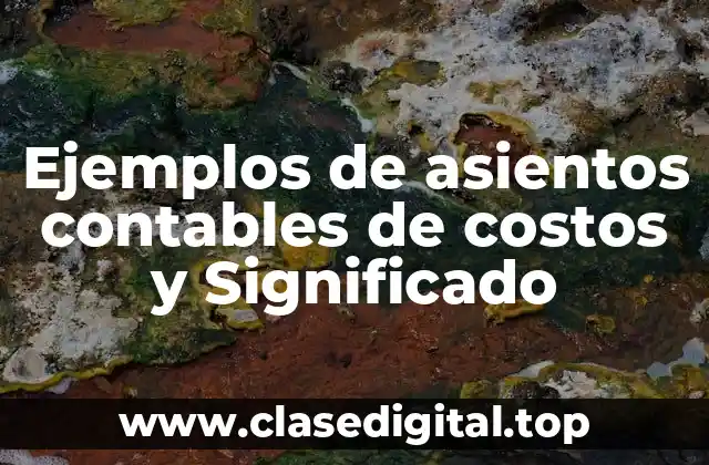 Ejemplos de asientos contables de costos y Significado