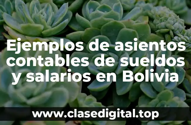 Ejemplos de asientos contables de sueldos y salarios en Bolivia