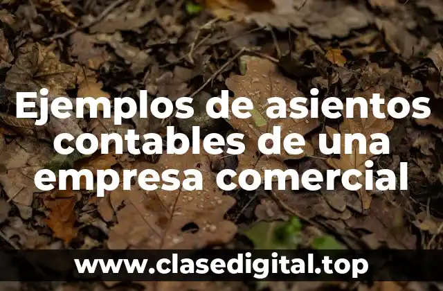 Ejemplos de asientos contables de una empresa comercial