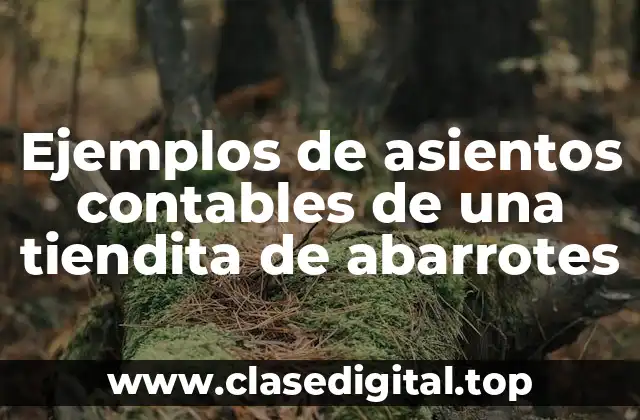 Ejemplos de asientos contables de una tiendita de abarrotes