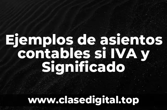 Ejemplos de asientos contables si IVA y Significado