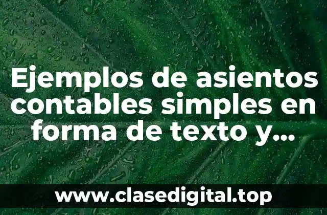 Ejemplos de asientos contables simples