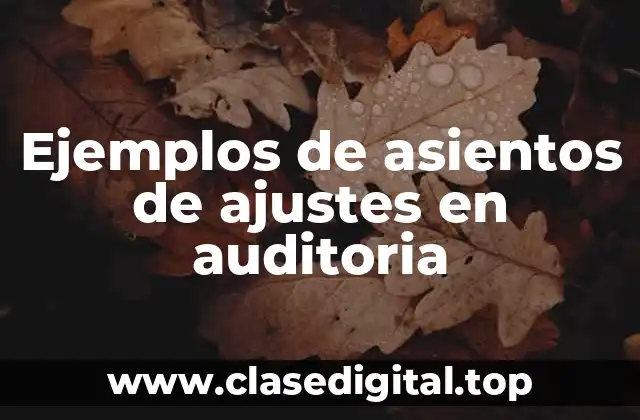 Ejemplos de asientos de ajustes en auditoria