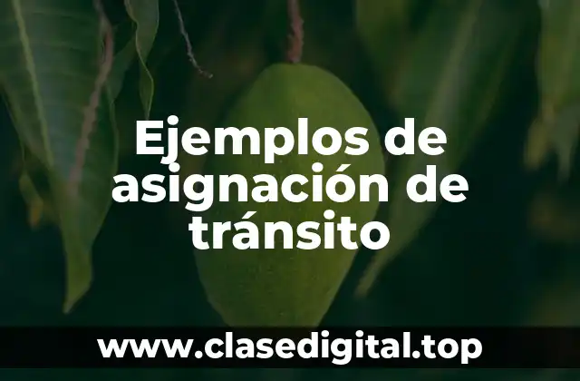 Ejemplos de asignación de tránsito