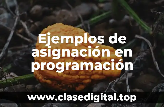 Ejemplos de asignación en programación