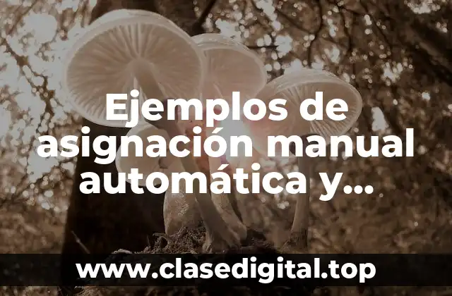 Ejemplos de asignación manual automática y dinámica de DHCP