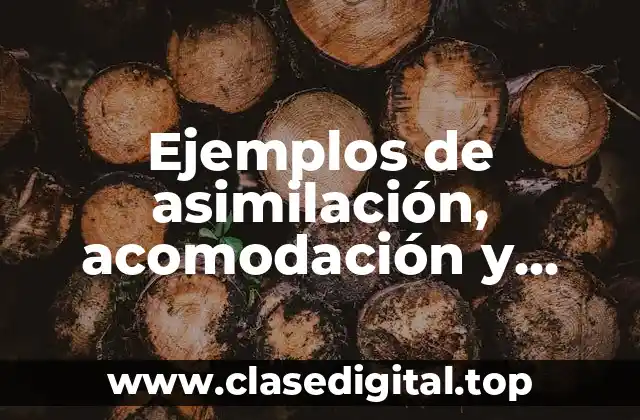 Ejemplos de asimilación, acomodación y desequilibrio según Piaget