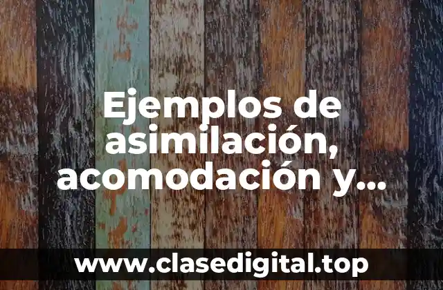 Ejemplos de asimilación, acomodación y equilibrio