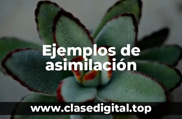 Ejemplos de asimilación