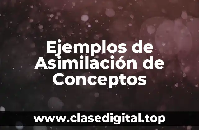 Ejemplos de Asimilación de Conceptos