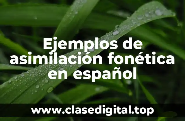 Ejemplos de asimilación fonética en español