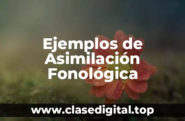 Ejemplos de Asimilación Fonológica