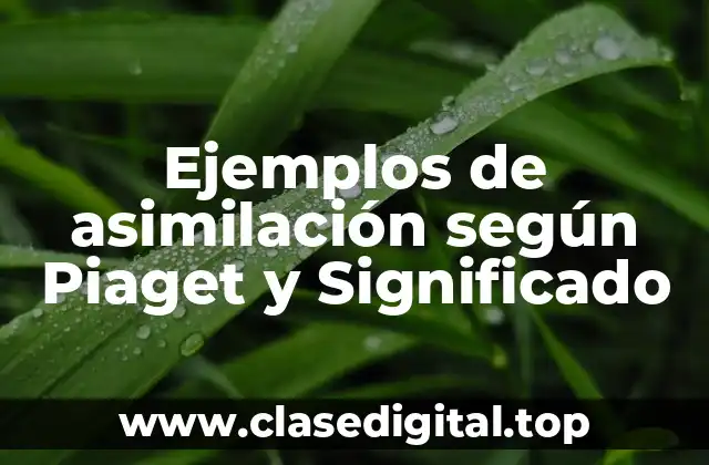 Ejemplos de asimilación según Piaget y Significado