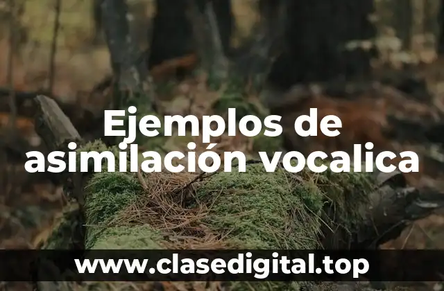 Ejemplos de asimilación vocalica