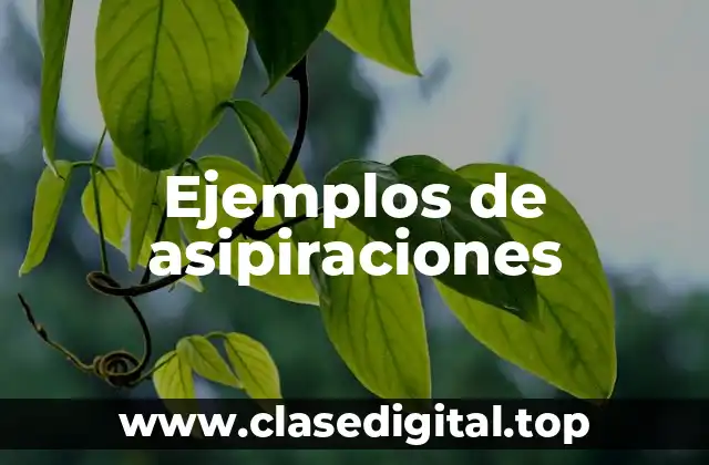 Ejemplos de asipiraciones