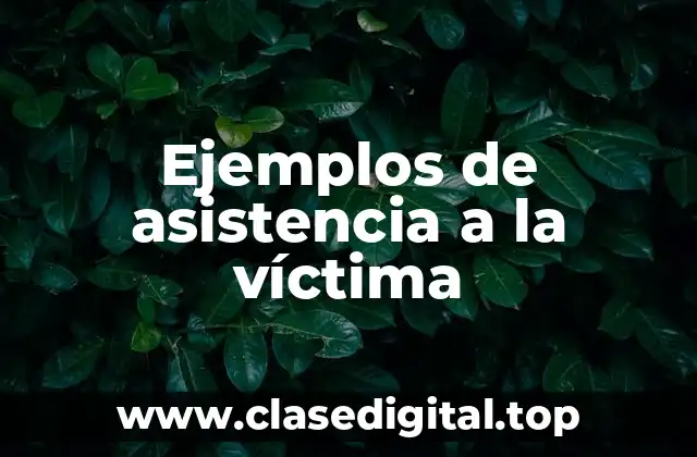Ejemplos de asistencia a la víctima