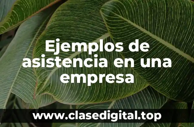 Ejemplos de asistencia en una empresa