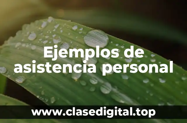 Ejemplos de asistencia personal