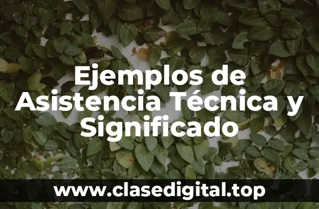 Ejemplos de Asistencia Técnica y Significado