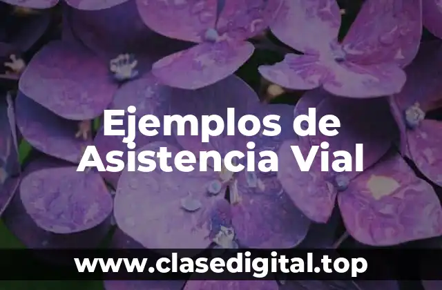 Ejemplos de Asistencia Vial