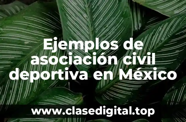 Ejemplos de asociación civil deportiva en México