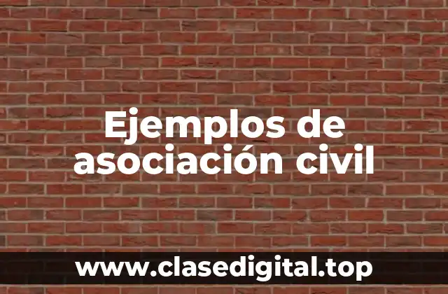 Ejemplos de asociación civil