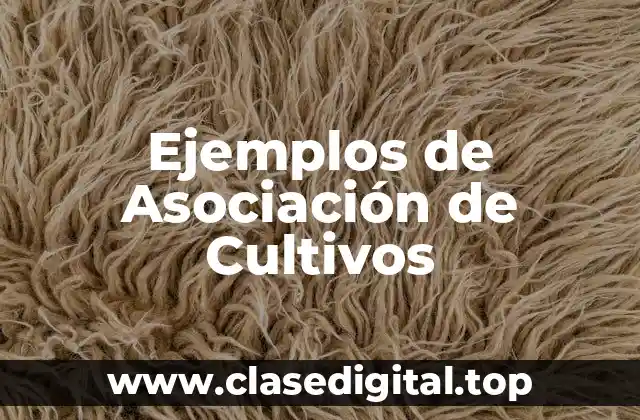 Ejemplos de Asociación de Cultivos