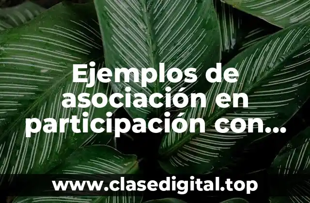 Ejemplos de asociación en participación con cifras