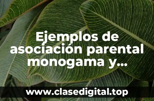 Ejemplos de asociación parental monogama y Significado