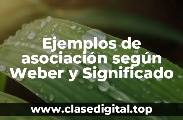Ejemplos de asociación según Weber y Significado