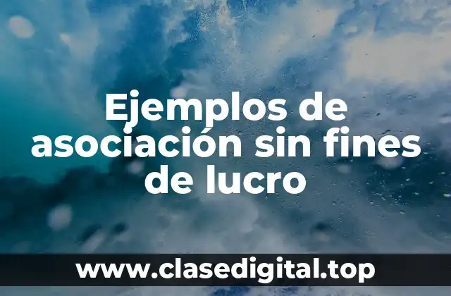 Ejemplos de asociación sin fines de lucro