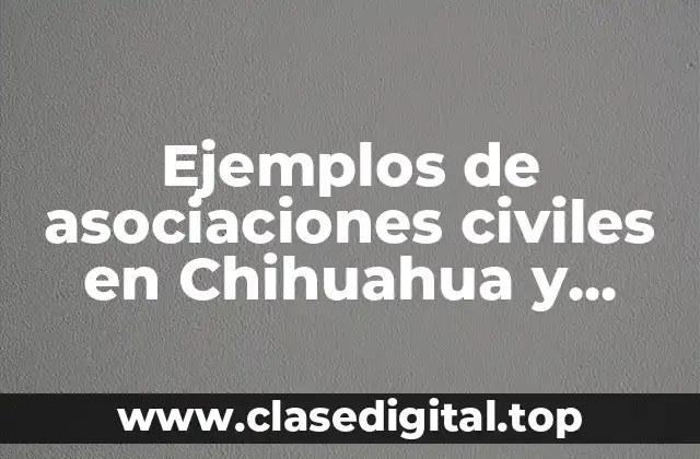 Ejemplos de asociaciones civiles en Chihuahua y Significado