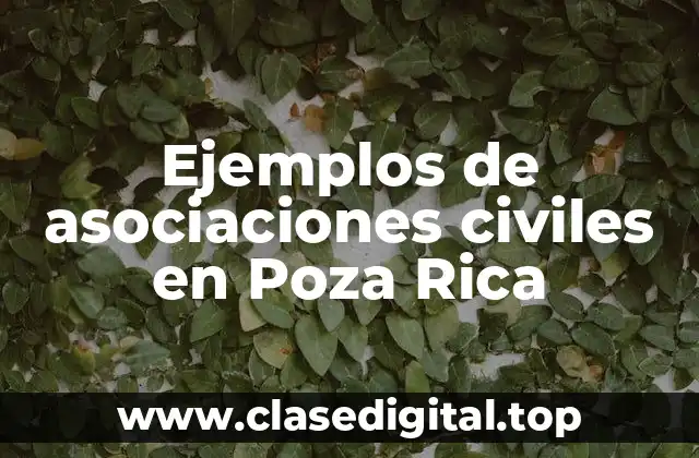 Ejemplos de asociaciones civiles en Poza Rica