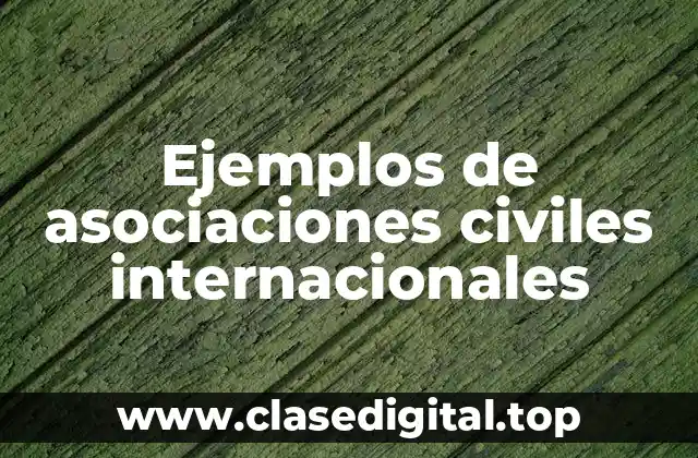 Ejemplos de asociaciones civiles internacionales