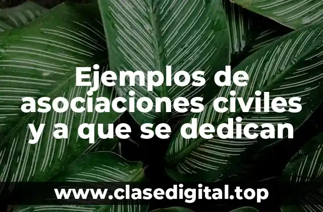 Ejemplos de asociaciones civiles y a que se dedican