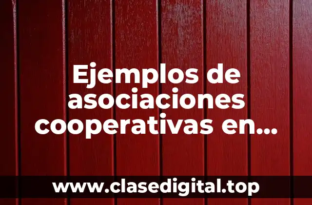 Ejemplos de asociaciones cooperativas en Zacatecas y Significado