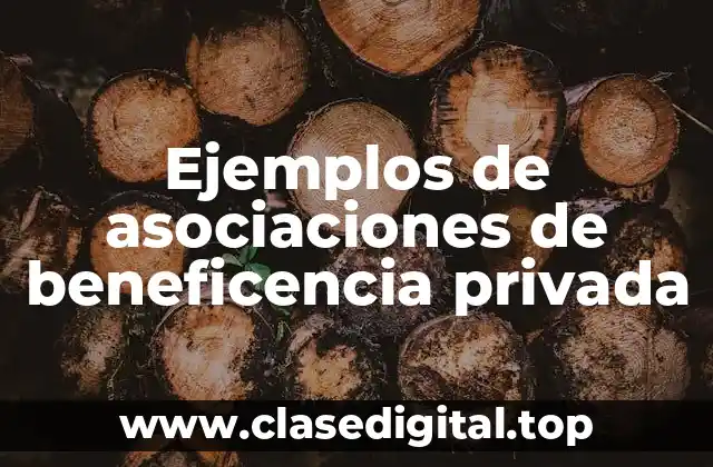 Ejemplos de asociaciones de beneficencia privada