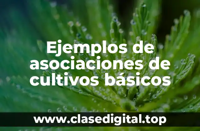 Ejemplos de asociaciones de cultivos básicos