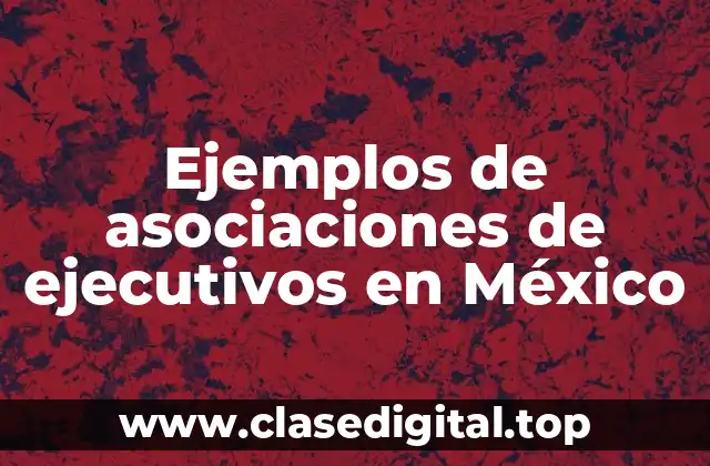 Ejemplos de asociaciones de ejecutivos en México