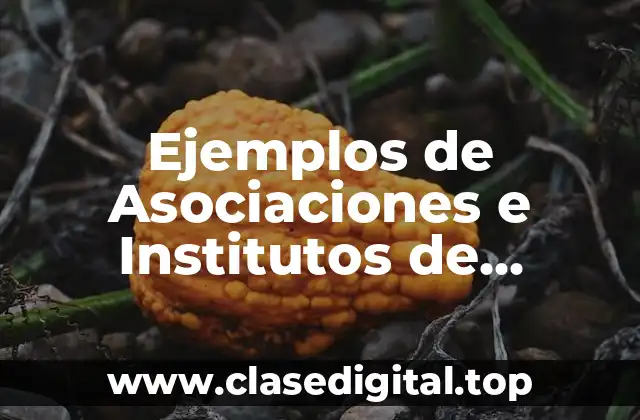Ejemplos de Asociaciones e Institutos de Ciencias y Artes Historia y Significado