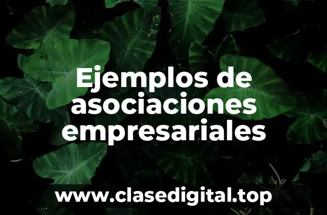 Ejemplos de asociaciones empresariales