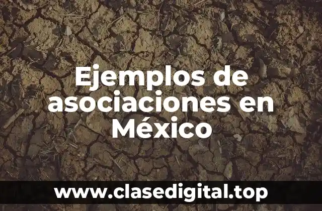 Ejemplos de asociaciones en México