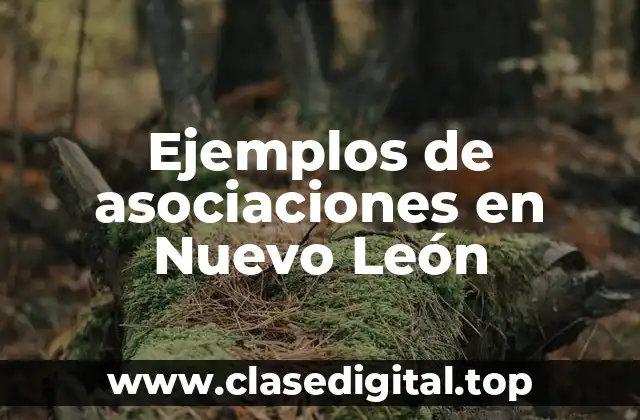 Ejemplos de asociaciones en Nuevo León
