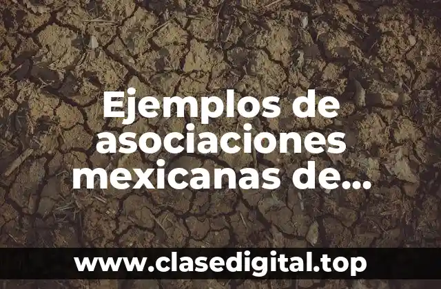 Ejemplos de asociaciones mexicanas de profesionistas