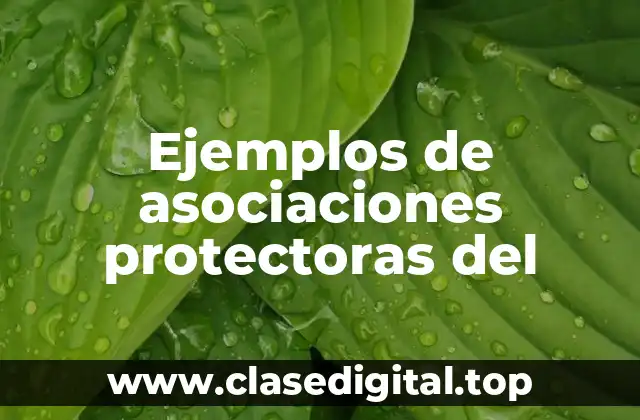 Ejemplos de asociaciones protectoras del